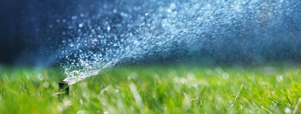Close up of a sprinkler