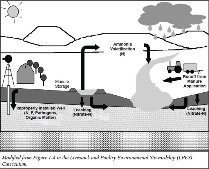Water pollution pathways diagram