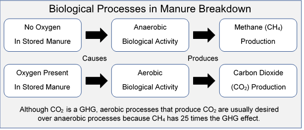 Biological processes in manure break down