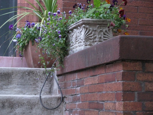 flowers at the top of stairs