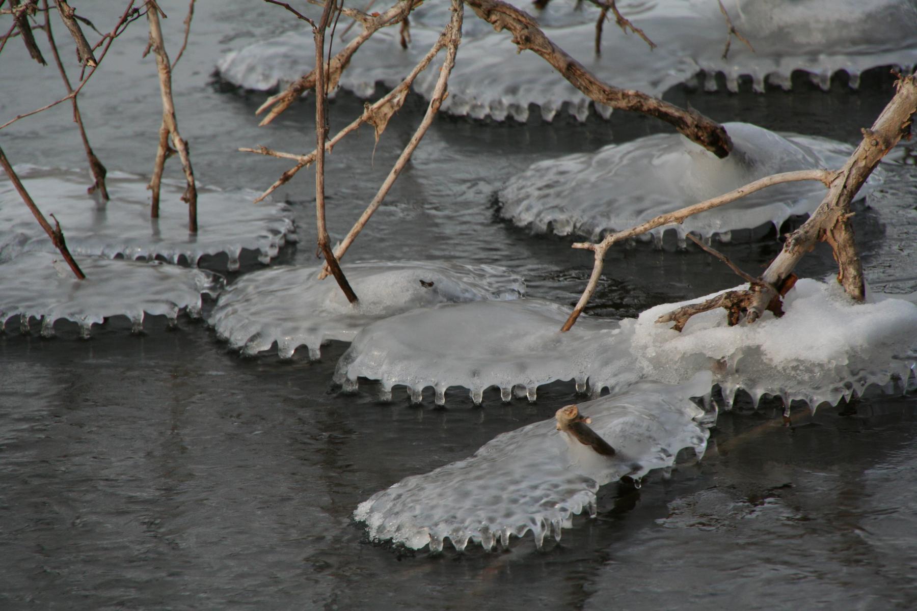 photo of pond with ice
