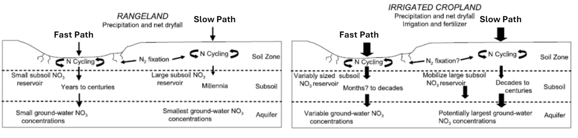 Rangeland and Cropland nitrate flow paths. Fast or Slow depending on soil.