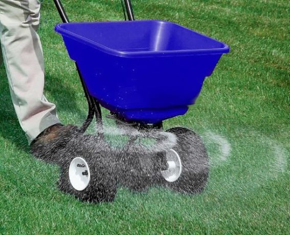 Man applying fertilizer