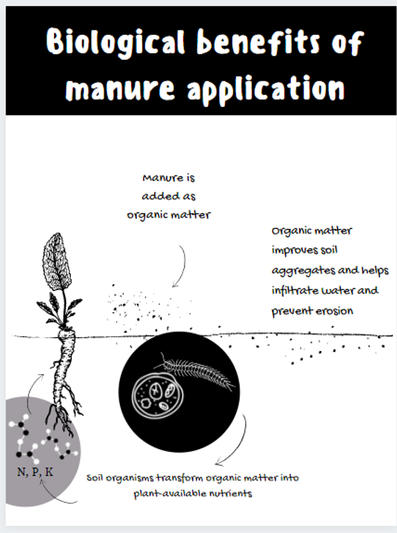 Biological Benefits of Manure Application