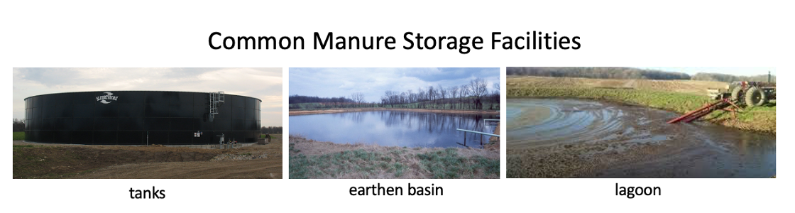 Protecting Groundwater by Managing Animal Manure Products | UNL Water