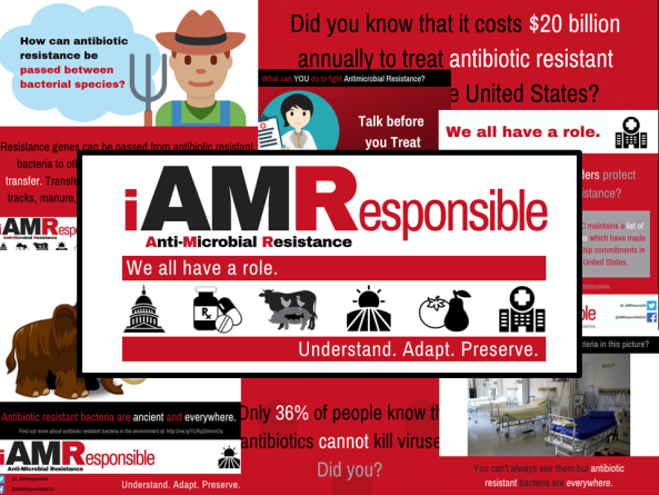 Program branding and social media graphics for the iAMR Project.