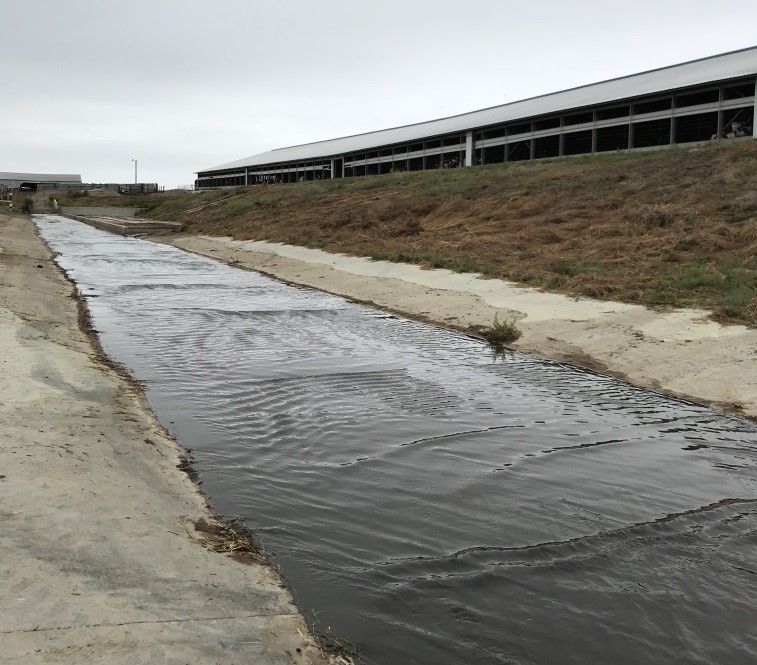 Photo of dairy process water, manure and sand