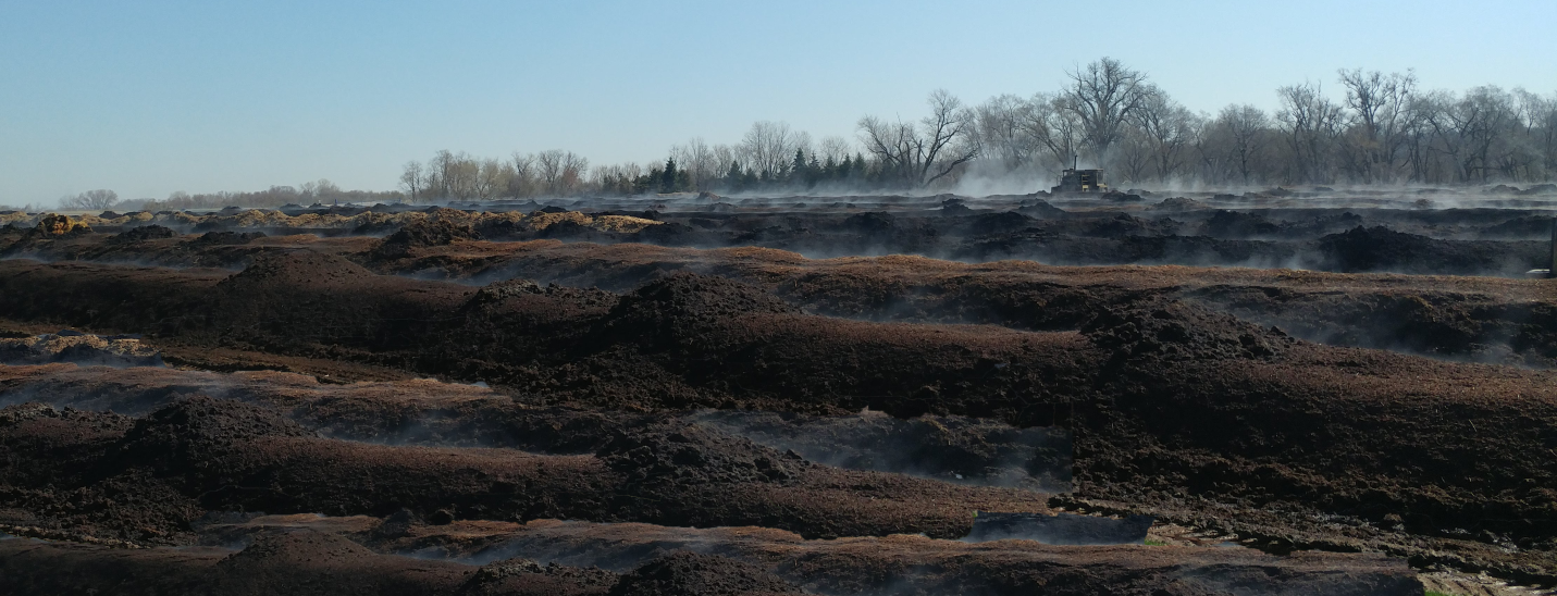 steaming rows of compost