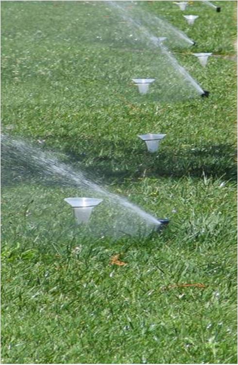 Lawn irrigation audit