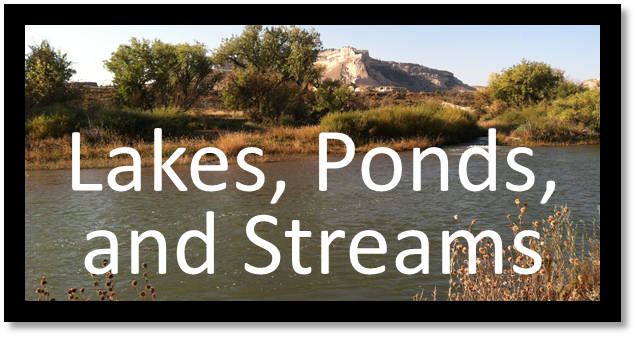 lakes, ponds, streams