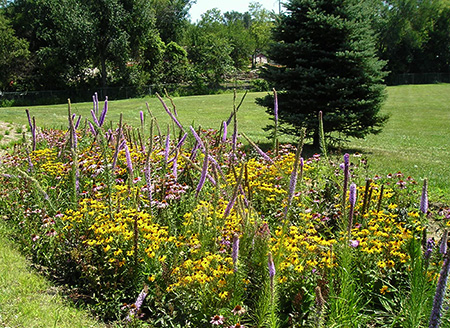 photo of bioretention garden