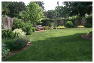 green lawn and landscape