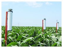 Modified atmometer in corn field