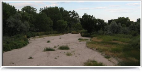 The Republican River in Nebraska is completely dry in 2005.