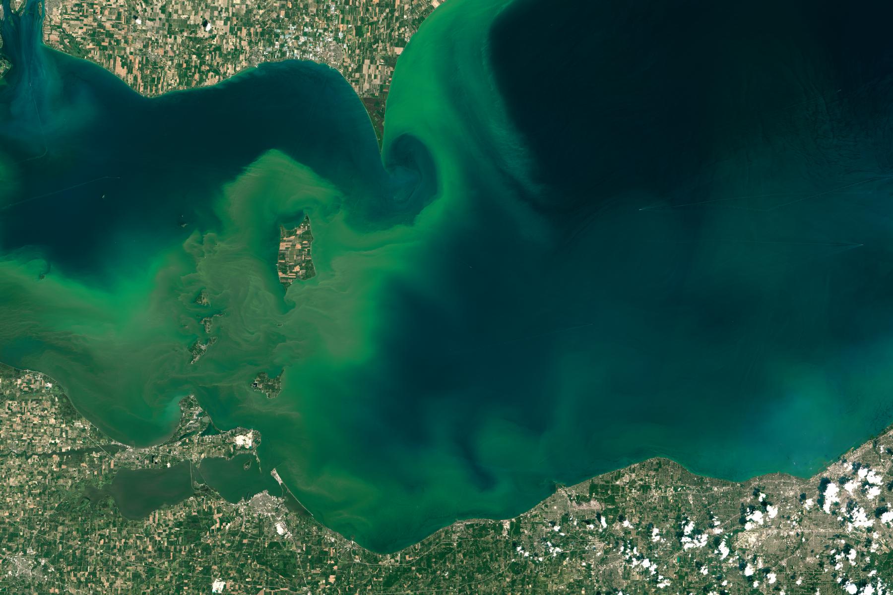 Algae Boom in Lake Erie.
