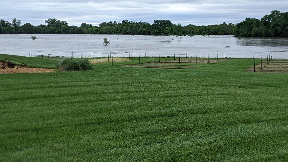 flooded field at ENREEC