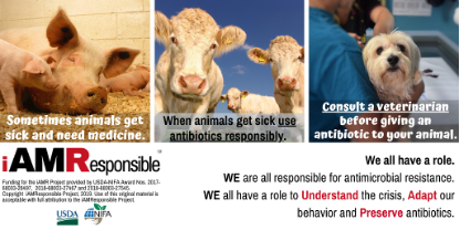 All food animal managers and pet owners have a role to plan in protecting medically important antimicrobial. Follow @i_AMResponsible on Twitter. Developed by: iAMResponsible.