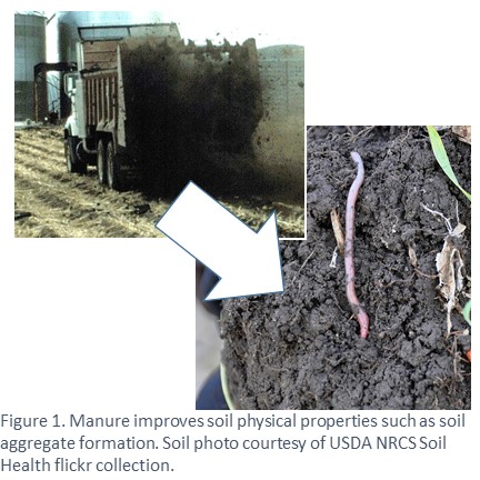 The organic matter in manure improves soil quality including formation of stable soil aggregates.