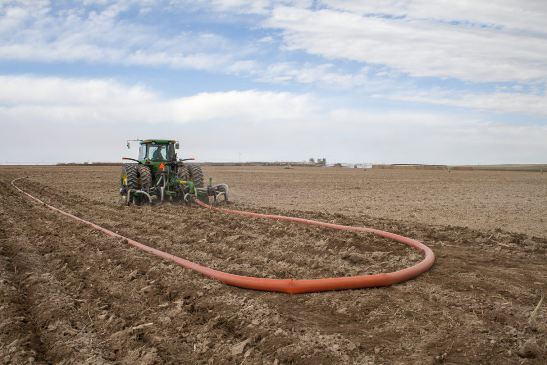 drag hose manure spreader applying manure to a field