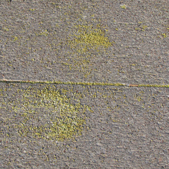 Pesticides on concrete