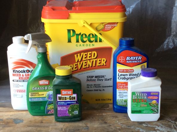 Store liquid and dry pesticides formulations correctly during winter. 
