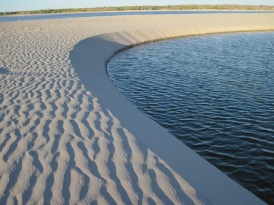 Sandpit Lake Shoreline