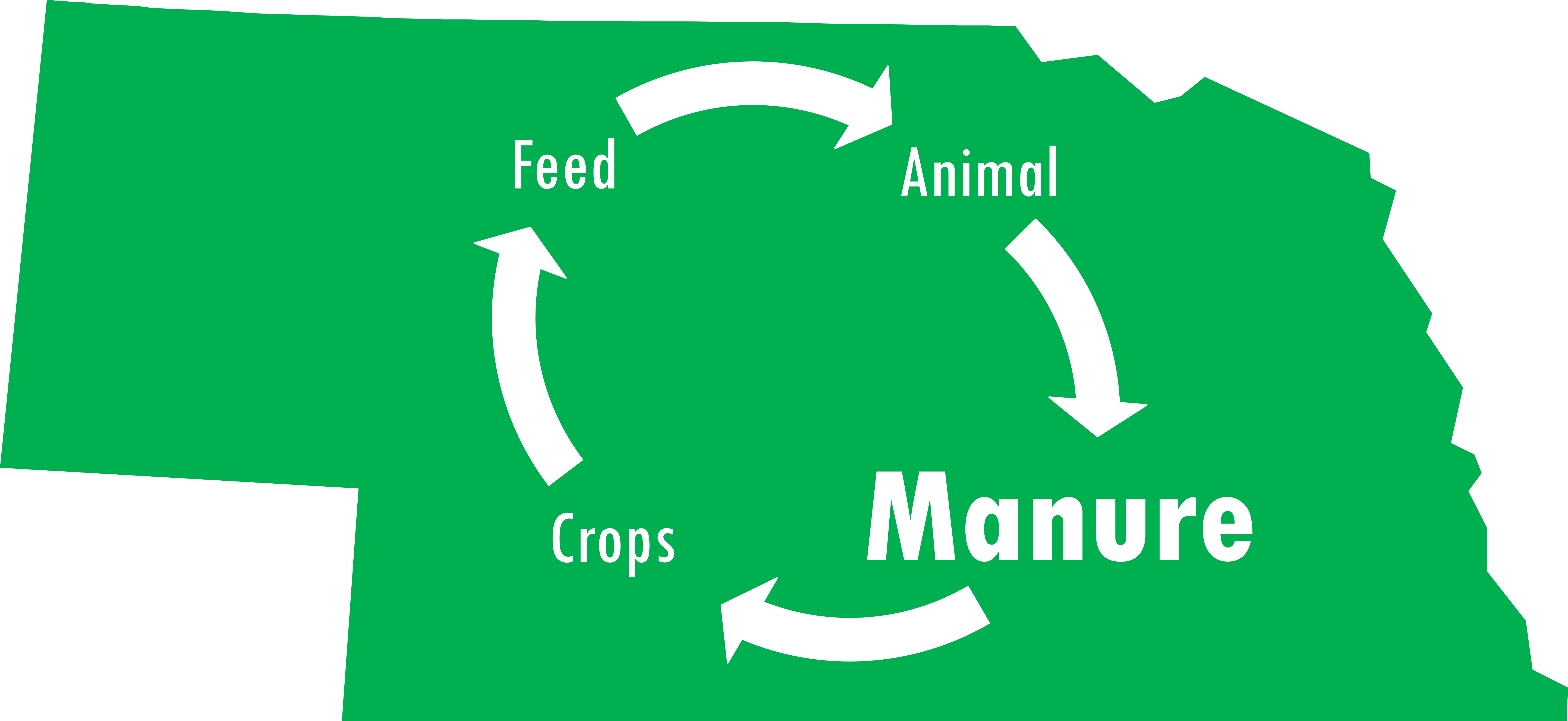 manure focused nutrient cycle on Nebraska