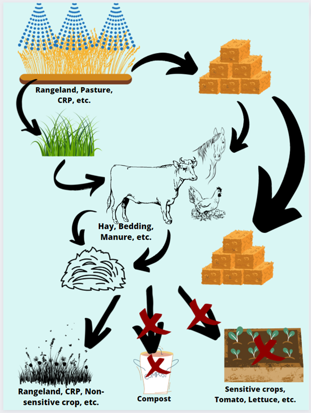 Example graphic from a pesticide label with grazing and composting restrictions.
