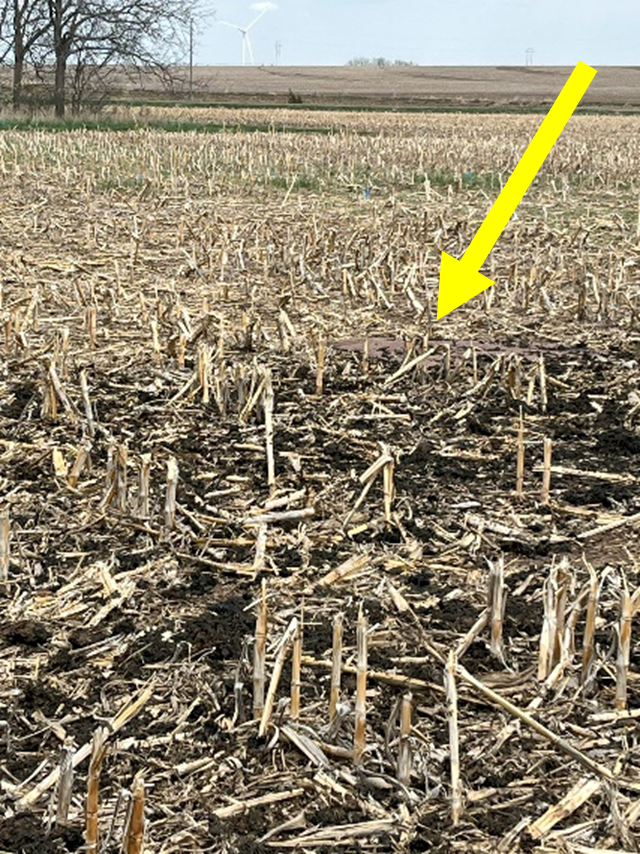 photo of manure on tarp during manure spreader calibration