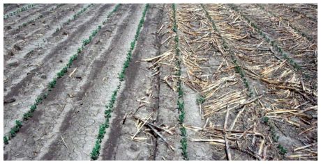 Demonstration of tillage and residue