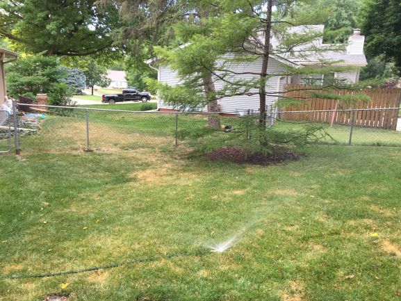 Irrigating lawn with a sprinkler