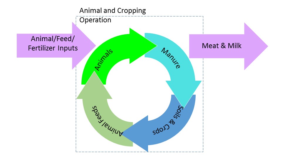Figure 2. Agriculture’s circular economy for managing carbon, nitrogen, and other nutrients.