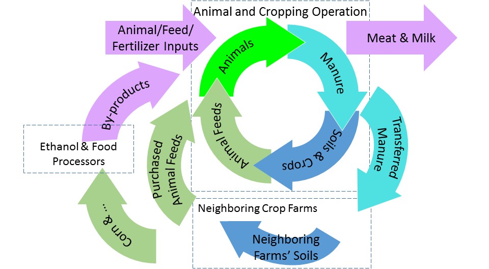 Figure 3. Agriculture’s circular economy has become more complex as animal and feed production is managed by different farms and as animal industry has utilized by-products of other industries.