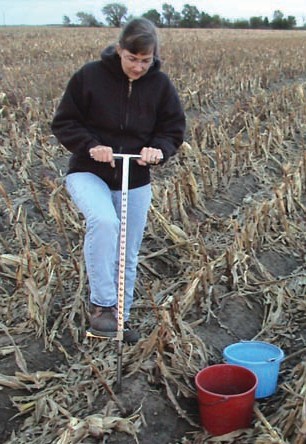 Soil samples should be collected to accurately reflect the nutrient status of the field.
