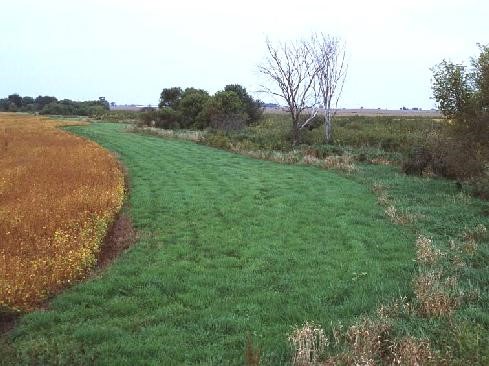 Conservation practices reduce antibiotic movement to surface waters.  From:  “Manure Phosphorus and Surface Water Protection III: Transport” (Photo by Bahman Eghball)