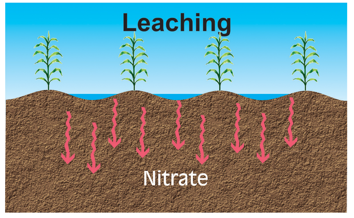 leaching