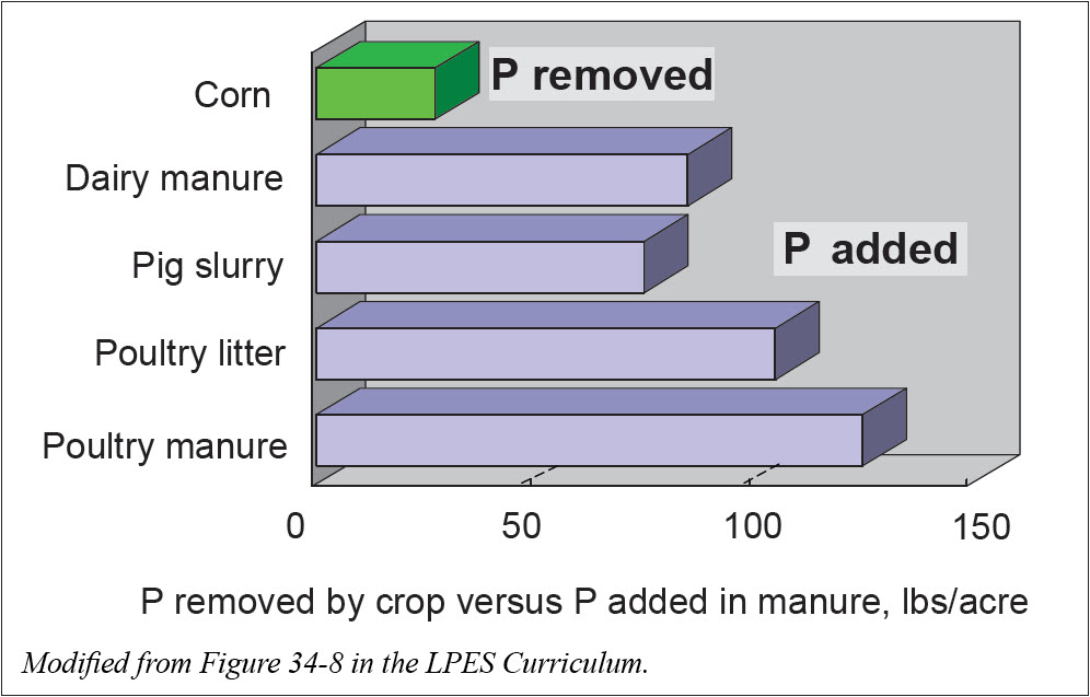 phosphorus additions vs removal