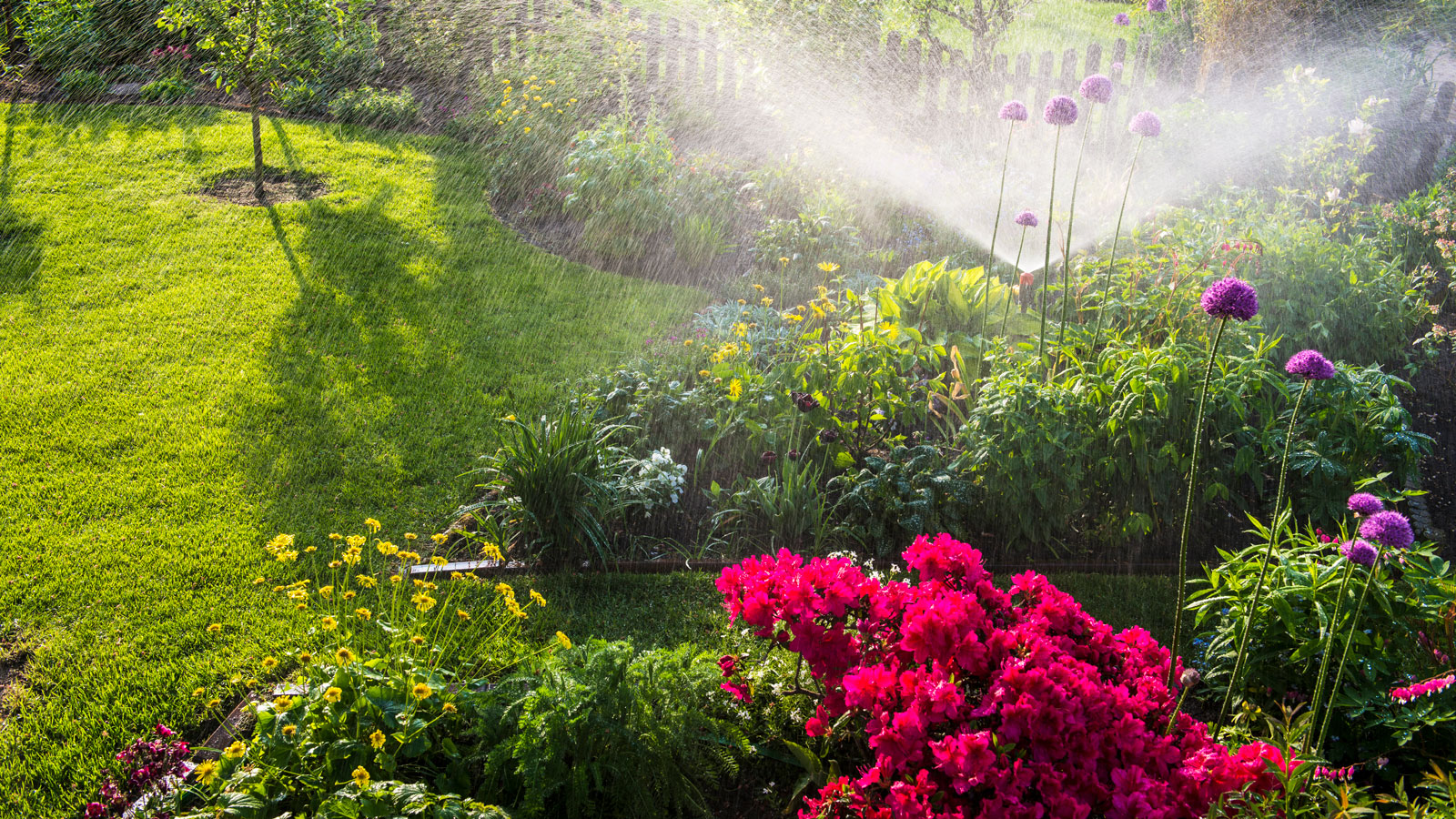 Sprinkler watering a lawn.