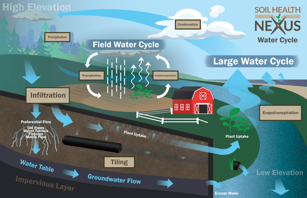 Water Cycle Graphic.
