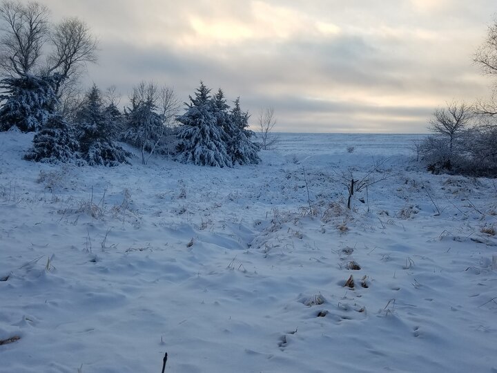 Snow in the landscape