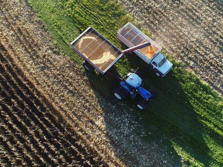 Combine in Field, photo by Laura Thompson