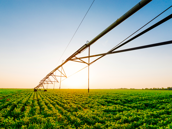 Center pivot in soybeans