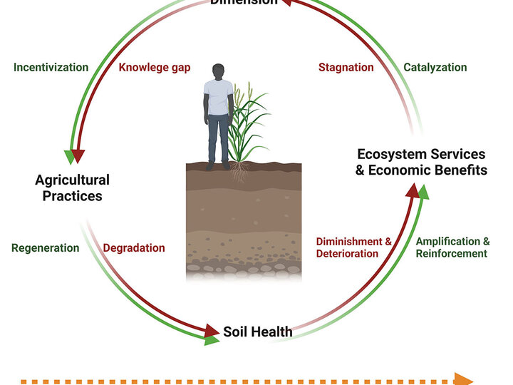 soil health cycle infographic