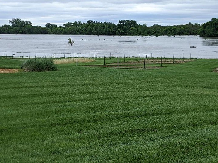 flooded field at ENREEC