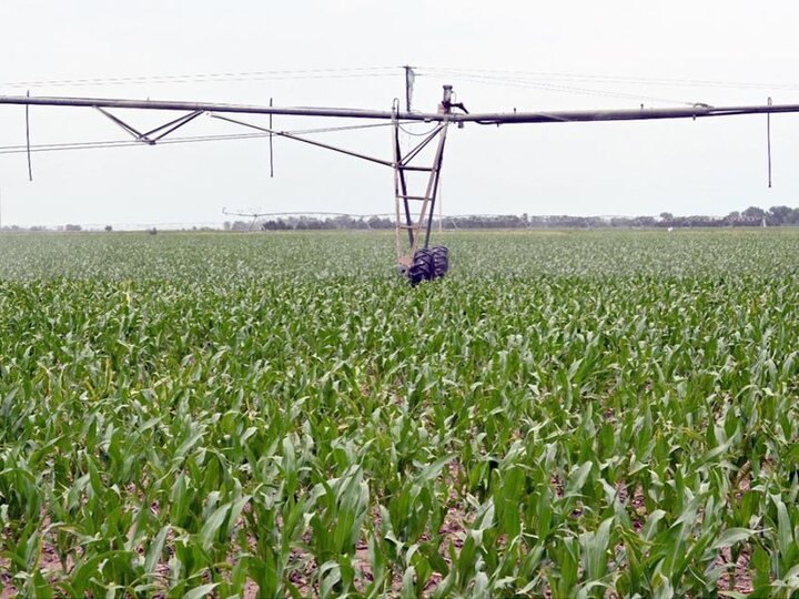 center pivot in corn field