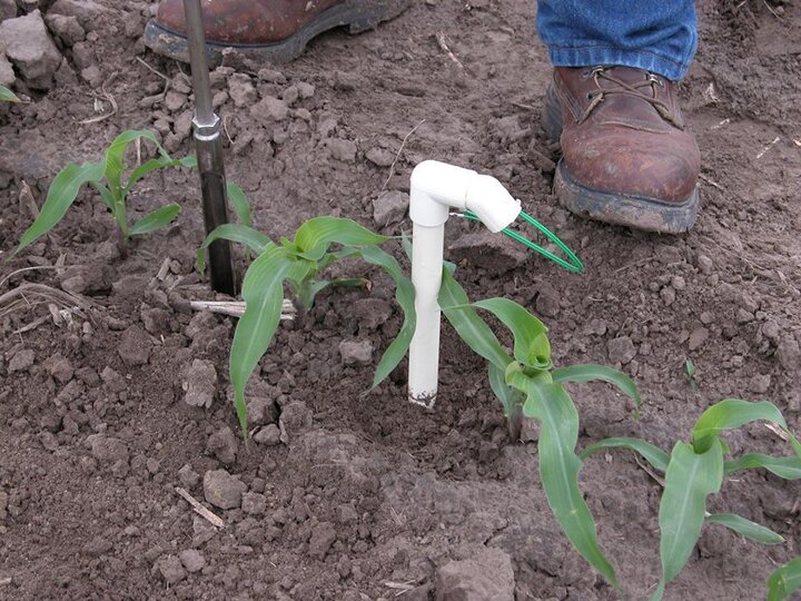 soil moisture sensor in corn row