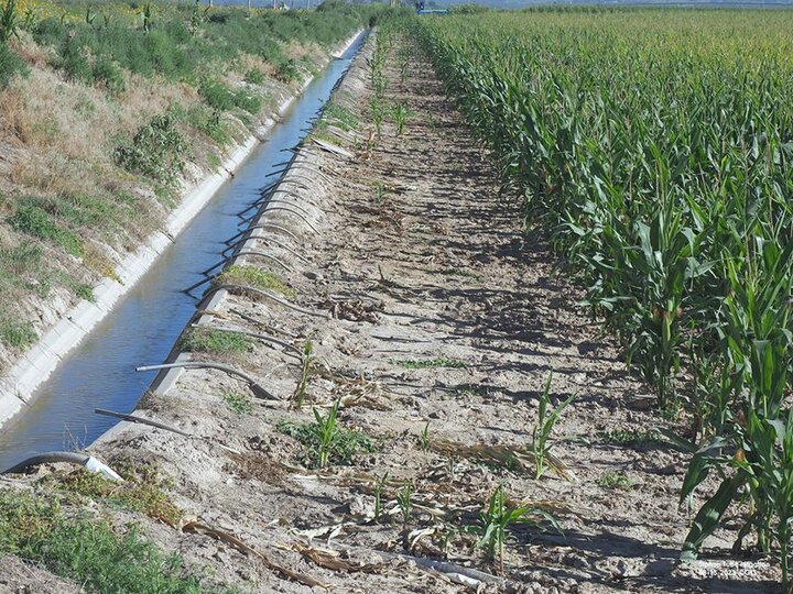 concrete lined irrigation ditches