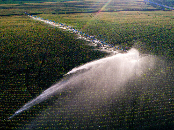 Irrigation in a field