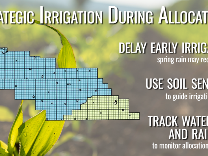 infographic about irrigation during allocations