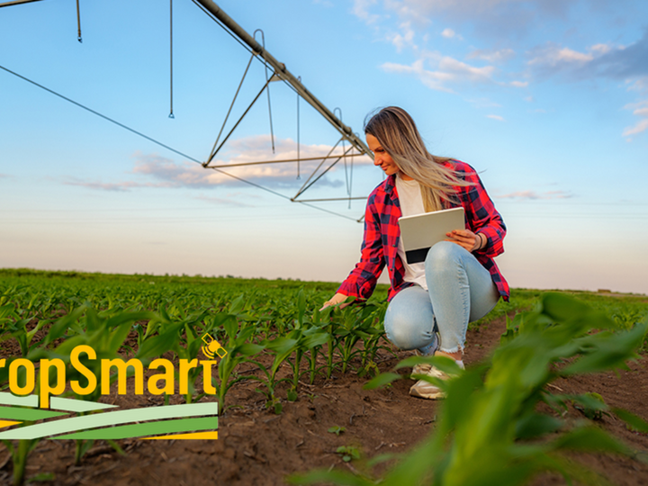 Smart Crop Irrigation Scheduling Service for Corn and Soybean